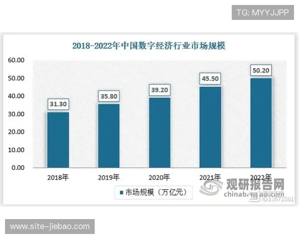 数字化体育课程吸引年轻用户群体,参与率同比攀升。
